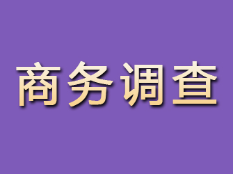 万安商务调查